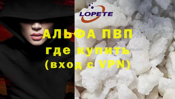 СК Вязьма