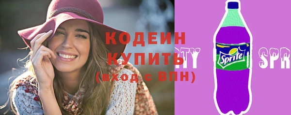 СК Вязьма