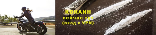 СК Вязьма