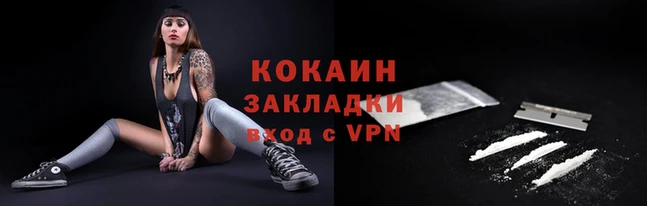 СК Вязьма