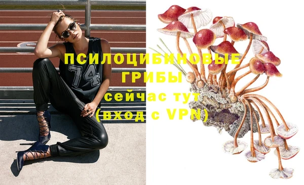 марихуана Вяземский