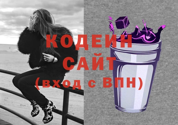 СК Вязьма