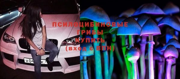 СК Вязьма