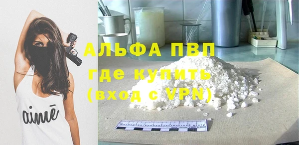 СК Вязьма